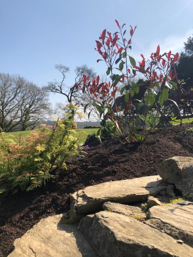 Charmante longère située au cœur du Finistère Le Trehou Esterno foto